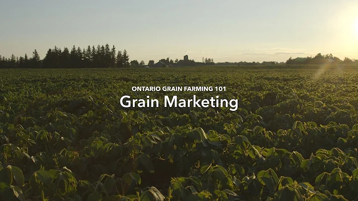 Grain Farming 101: Grain Marketing