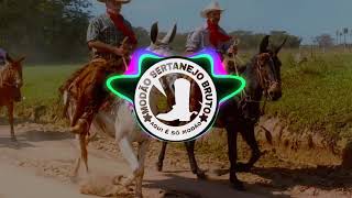 Gino & Geno - Blusa Amarela 《Modão Sertanejo Bruto》