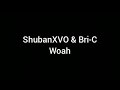 ShubanXVO &amp; Bri-C - Woah (1 hour loop)