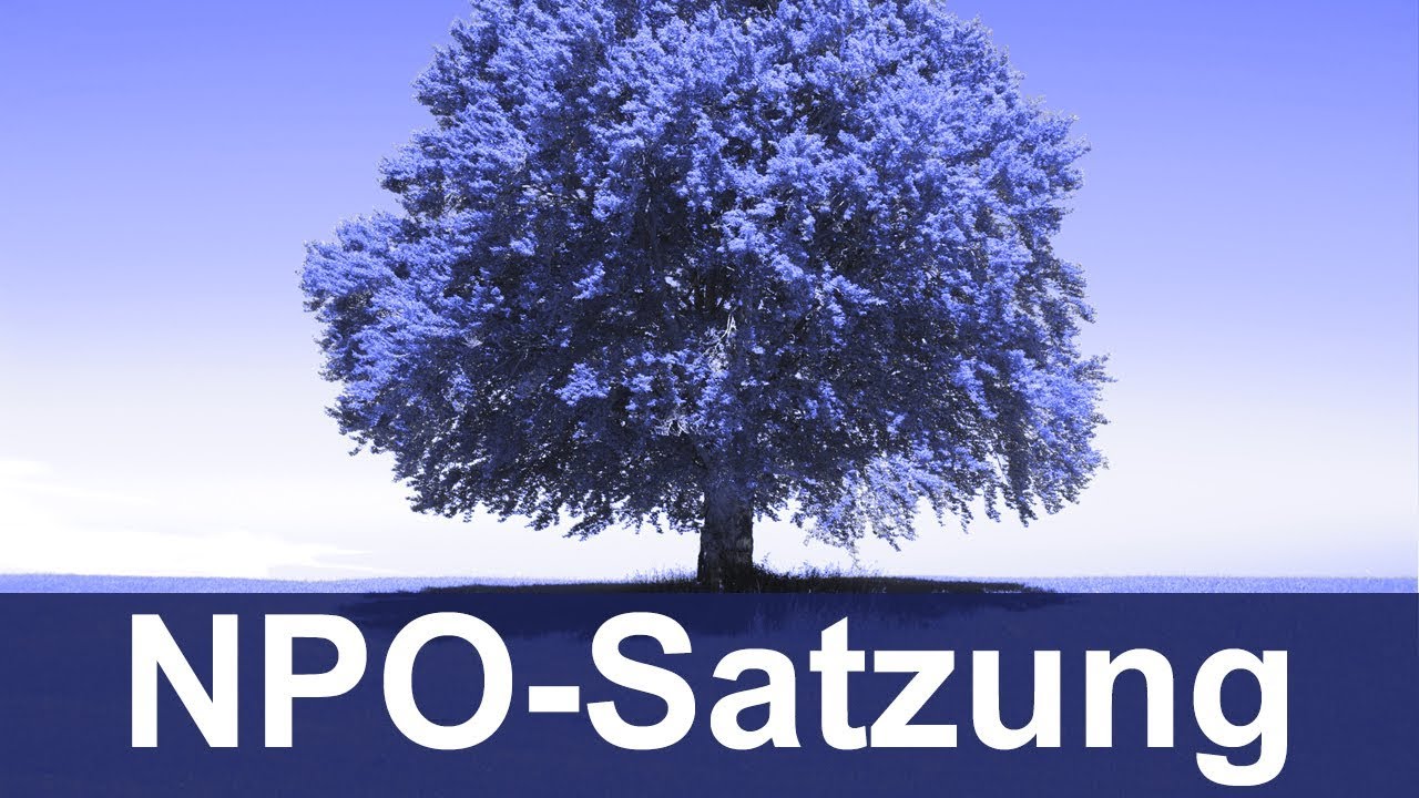 Satzung für Vereine, Stiftungen & Co.