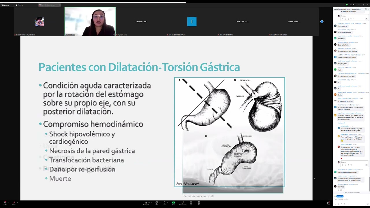 Evaluación Preanestésica de la bioquímica sanguínea en perros y gatos