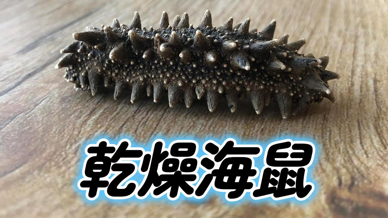【干し・乾燥ナマコ 】なまこさばき方 いりなまこ・ きんこ・ 海参(ハイシェン) 海鼠 - YouTube