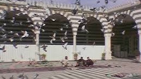 الشيخ أحمد سليمان السعدني رحمه الله\ تلاوه خاشعه من سورة البقرة