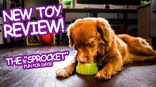 New Toy REVIEW | The 'Sprocket' Edition | Growing Up Qweens #Shorts by Growing Up Qweens 3,602 views 2 years ago 1 minute, 1 second