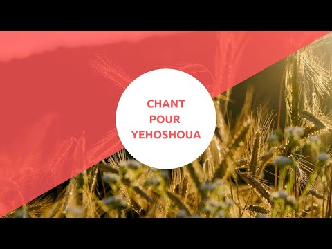 Chant Pour Jésus - Majesté 🎹🎸