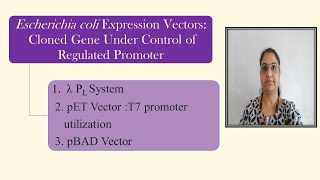 E.coli Expression Vectors: Cloned Gene Under Control of Regulated Promoter: λPL,T7, pBAD, pET vector