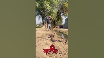 इच्छाधारी नागिन मां और बेटी कहानी🐍🙏#shorts #youtubeshorts #snake #naagin #nagin #mahadev #shiv #maa