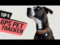 Best GPS Pet Trackers of 2020 [Top 6 Picks]