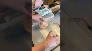 IMG 4584