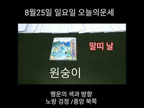 오늘의운세 8월25일 타로운세 말띠 <strong>사주풀이</strong> 소원성취 기도 명상 부적 재회운 강력상승
