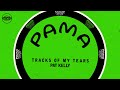 Miniature de la vidéo de la chanson Tracks Of My Tears