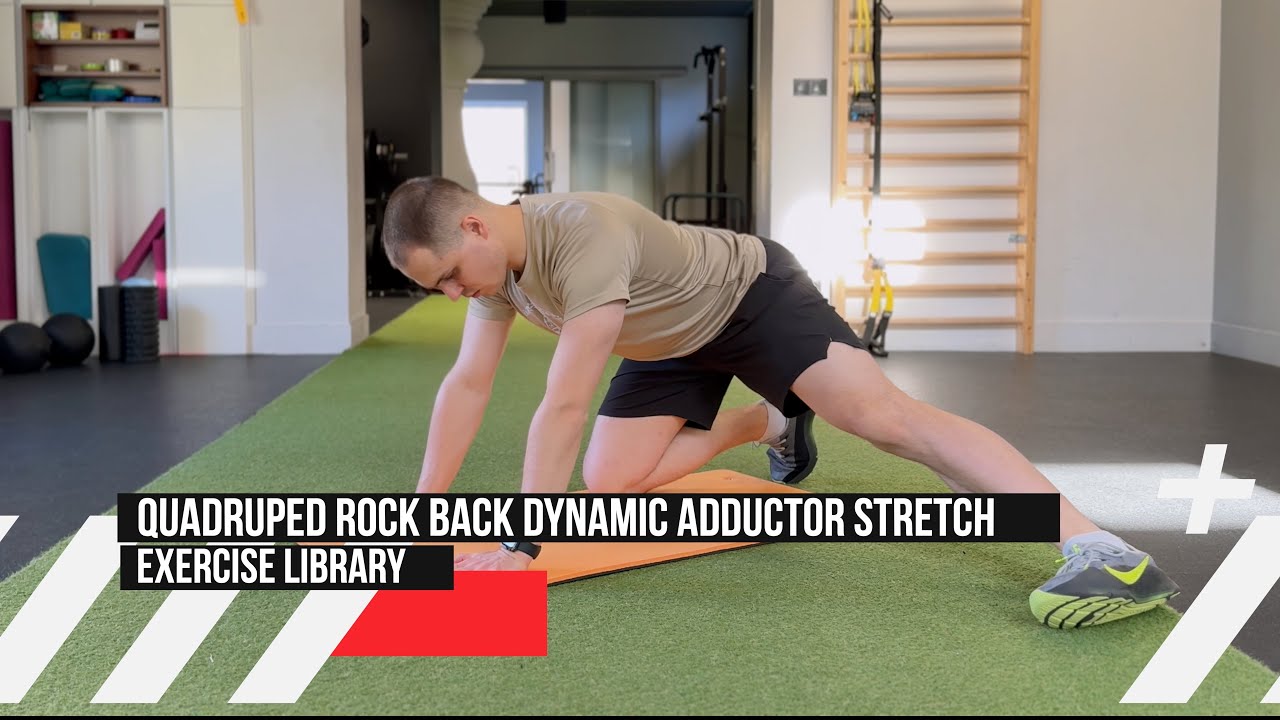 Addctor Rocks Stretch Quadruped Rock Back (Dynamic Adductor Stretch) – Rocker z nogą ...