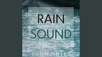 Rain Sound (Pure White Noise for Natural Deep Sleep Inducing)