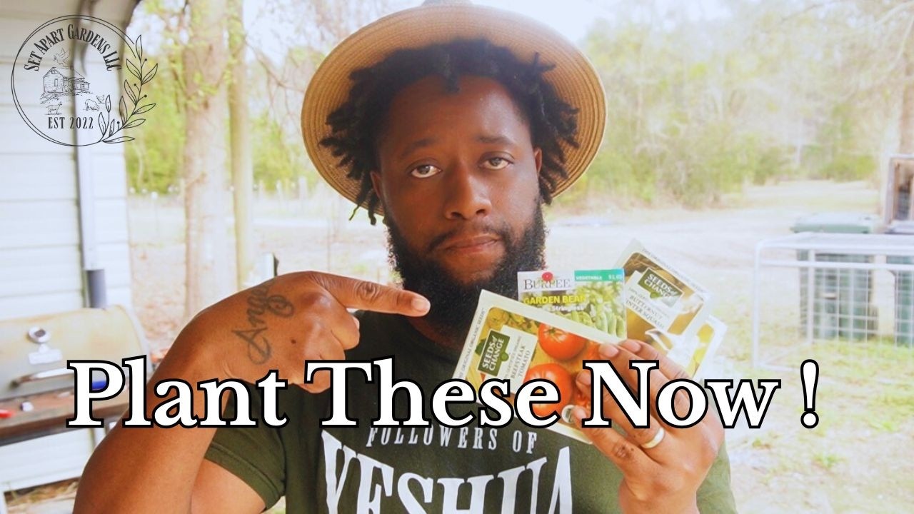 Food Security in an Unstable World: 5 Crops That Feed Your Family in Hard Times