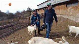 На гости в модерна ферма за отглеждане на алпийски кози в България, "Бразди" 10.02.2024