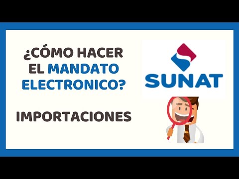 ? ELECTRONIC MANDATE / IMPORT SUNAT 2022