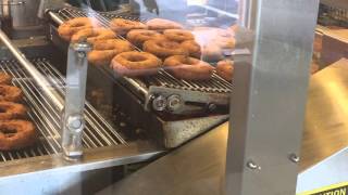 Fat Boys Love Donuts