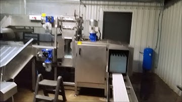 Egg Tray Pallet Washer   6500 100