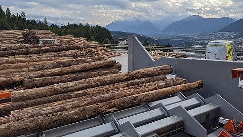 HIGH SPEED LOGS SORTING LINE - CMS SCARPARI