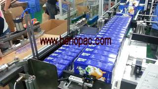big case end/side loading case packer