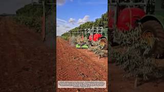 Smart Farm Sprayer Machine! Perfect Crop Protection System 🚜💧