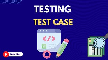 13.  Test Case
