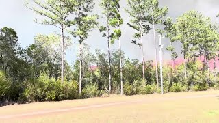 Balloon believed to be the cause of Brantley County fire, Kemp says
