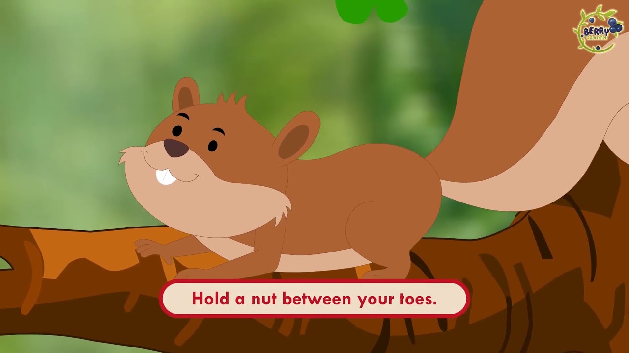 10. Squirrel, Squirrel Berry Garden Nursery Rhymes Sweet Berry