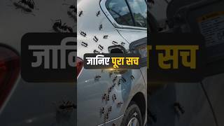 ("चींटियाँ और ईंधन" )The "Ants and Fuel" Controversy#thepartofknowledge #shorts #facts