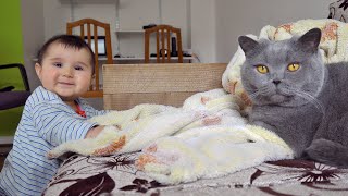 Baby chasing Cat - will they fight?