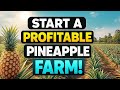 Beginner’s Guide to Pineapple Farming in Nigeria