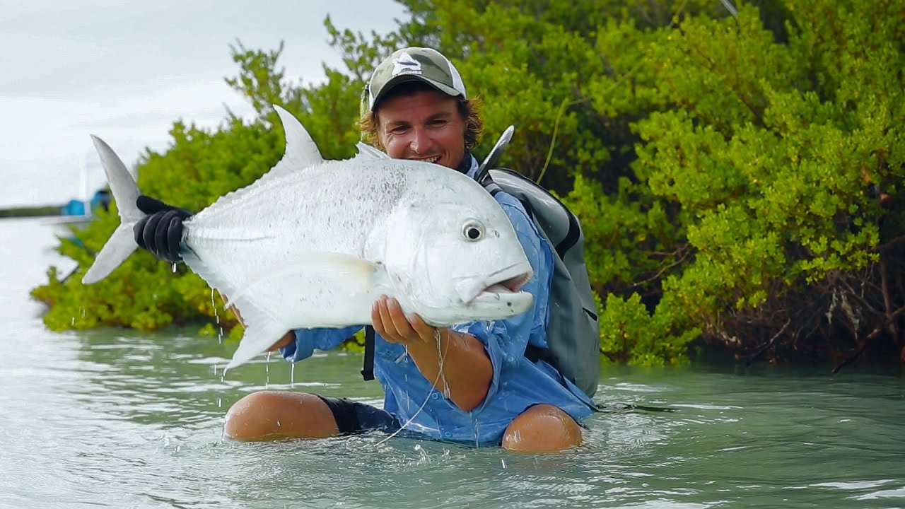 ASTOVE official trailer