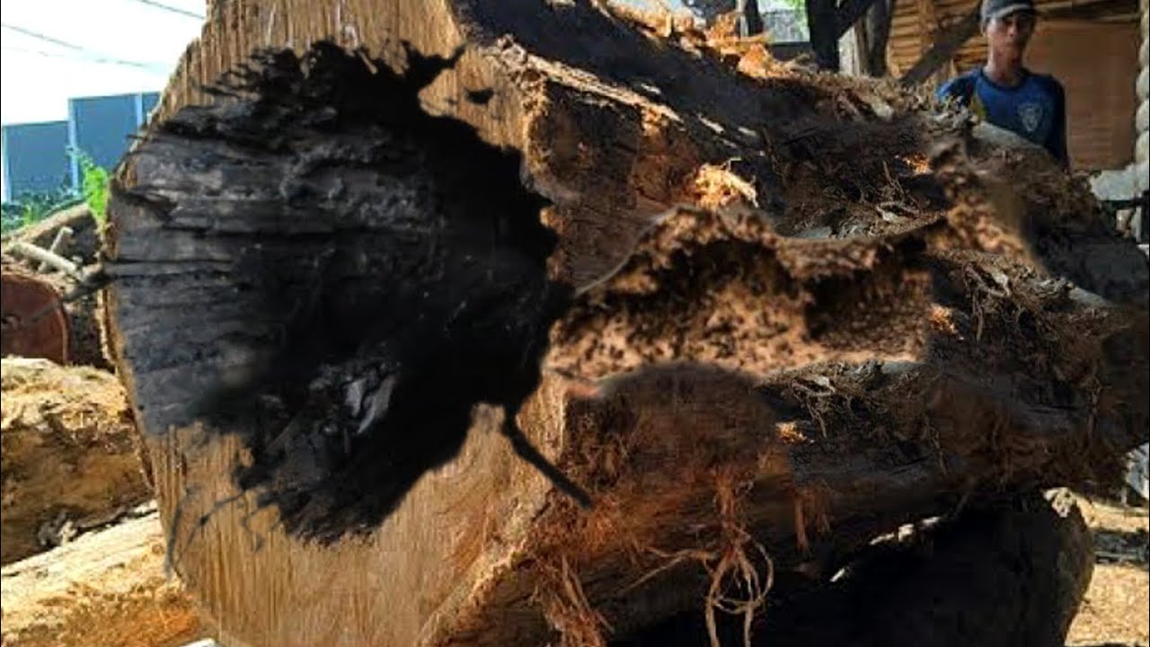 Disaster Lurks!! 513 Seconds Before It All Ends Badly at the Sawmill