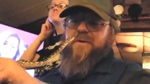 Reading A Snakes Body Language