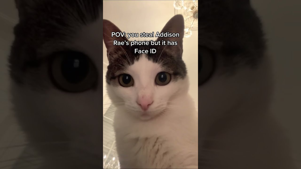 POV You Steal Addison Rae S Phone But It Has Face ID
