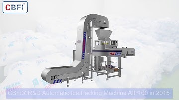Automatic Ice Packing Machine
