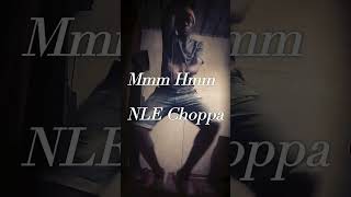 Mmm Hmm "NLE CHOPPA" (Dance Video)