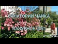 Лазурное 2021 !!! Херсонская область. Санаторий Чайка !!!