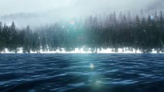 Serene Seaside Bliss Next to Pine Forest | Nature's Symphony