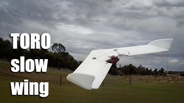 Toro slow flying wing