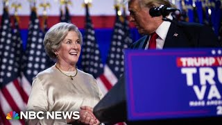 Who is Susie Wiles, Trump’s chief of staff?