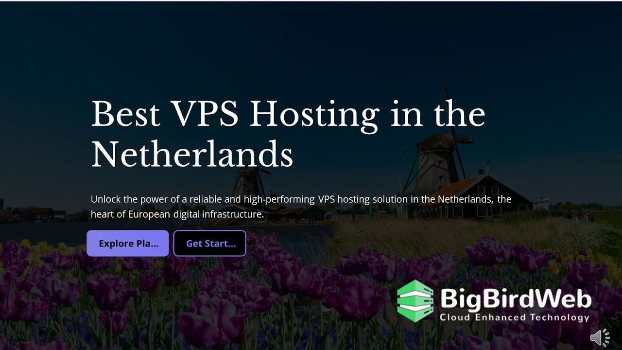 Best VPS Hosting in the Netherlands #vpshosting #bigbirdweb - YouTube