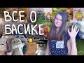 ВСЕ О БАСИКАХ!|Basik  TV