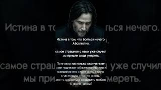 Мои Мысли, Мои Скакуны