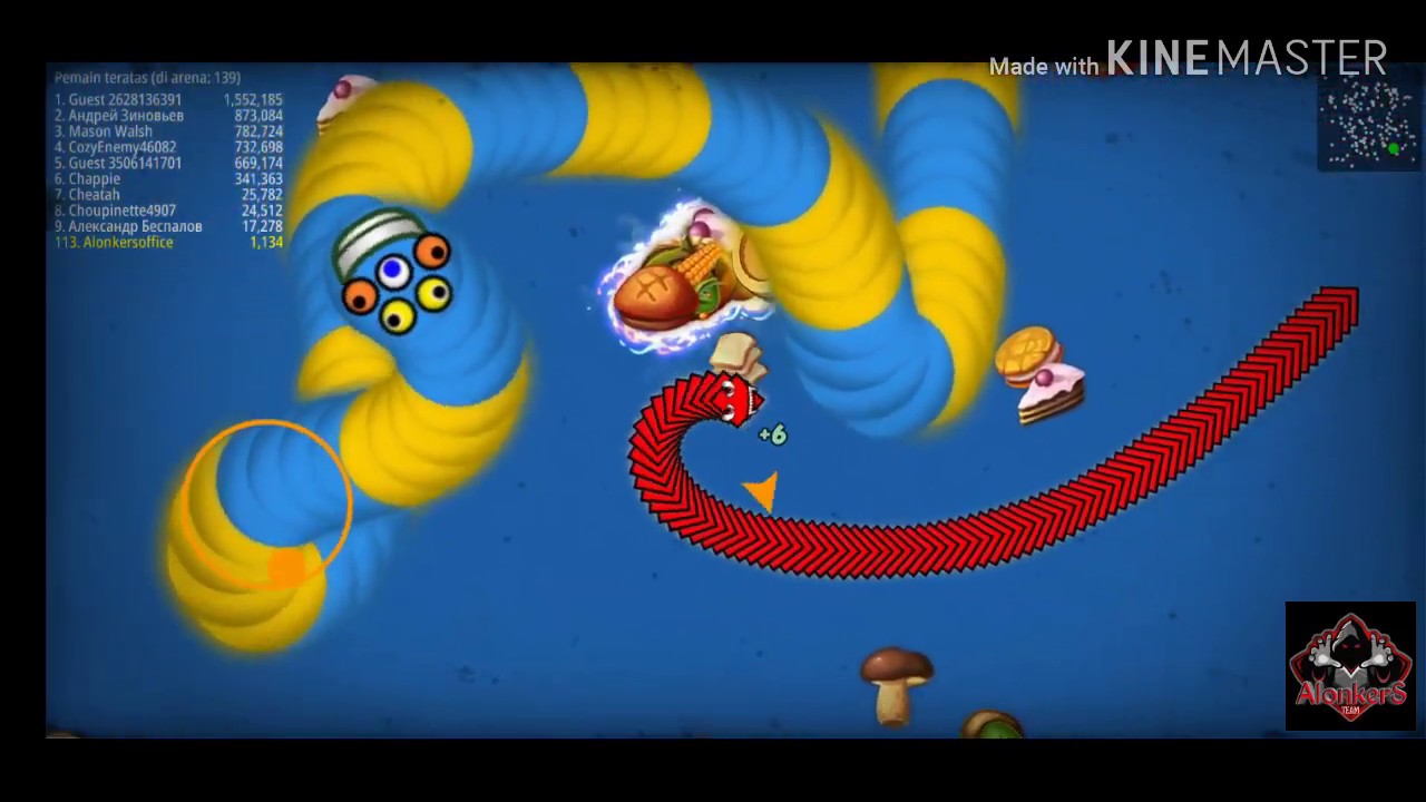 TOP RECORD CACING - CACING 800.000 TANPA MATI - YouTube