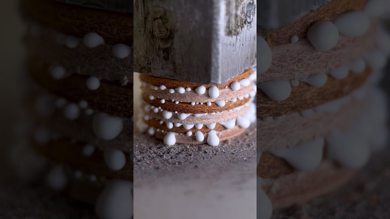অ্যাপল আইফোন ১১ ৬৪ জিবি ব্ল্যাক