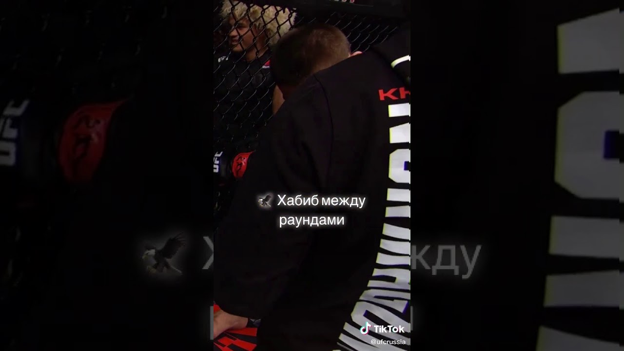 Borboza com наши проекты borboza