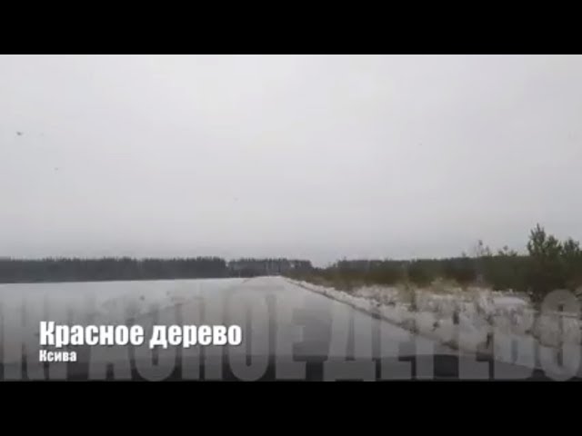 🎤  06 Красное дерево - Ксива | Красное дерево | Старый русский рэп  🎵