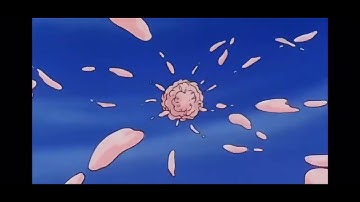 Goku and Vegeta Vs Buu (Live and Learn)