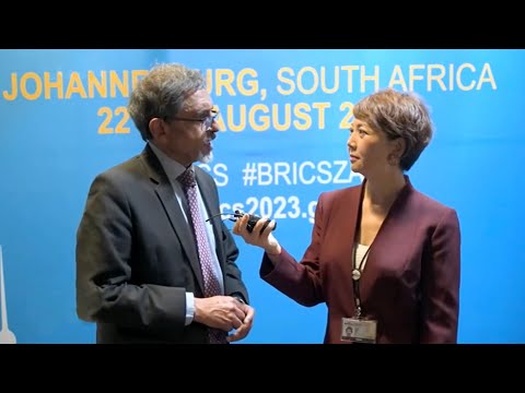 Brics summit 2023: trade highlights